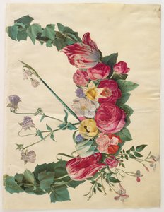 Flower Garland fra albumet Gottorfer Codex, ca. 1650 (gouache på pergament)