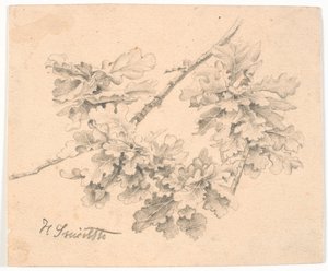 Studie av eikegrener av Hans Smidth