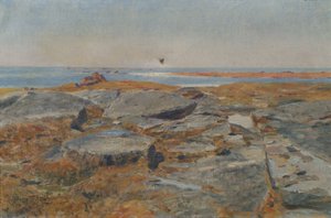 Studie fra Concarneau av Hans Tichy