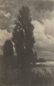 Kameraarbeid: Poplars and Clouds, 1906. av Hans Watzek