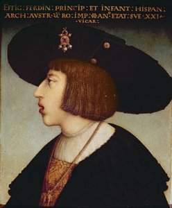 Portrett av Ferdinand I, den hellige romerske keiseren