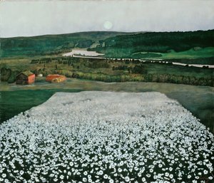 Blomstereng i nord