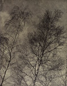 sjarmen deres er skrevet langs en flytende himmel, Robert Bridges (s/hvitt bilde)