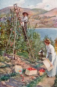 En Fruit Ranch i Nelson, British Columbia av Harold Copping