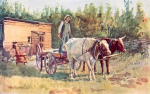 En ungkarshytte og hans lag med okser av Harold Copping