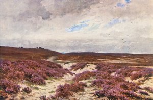  av Harold Sutton Palmer