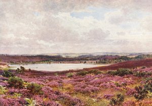  av Harold Sutton Palmer