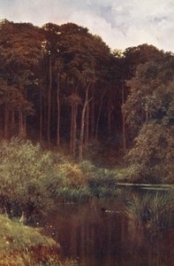  av Harold Sutton Palmer