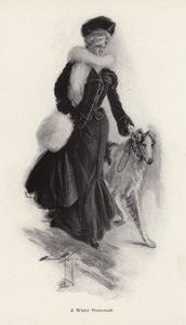Kvinne går tur med den grove colliehunden sin om vinteren (litho) av Harrison Fisher