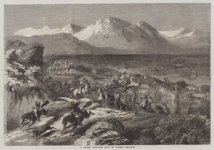 En nylig villsvinjakt i Algerie