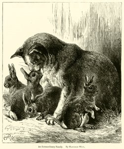 En ekstraordinær familie av Harrison William Weir