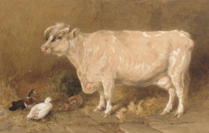 Ku med ender i en låve av Harrison William Weir