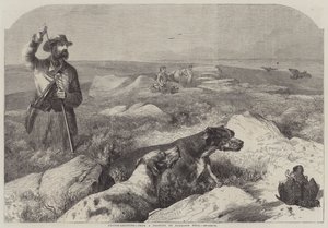 Rypeskyting (gravering) av Harrison William Weir
