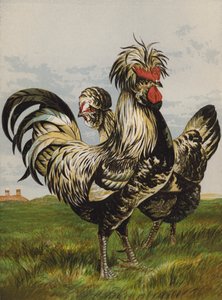 Houdans (chromolitho)