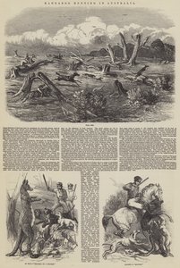 Kengurujakt i Australia