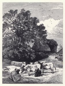 Melking av kuene (gravering) av Harrison William Weir