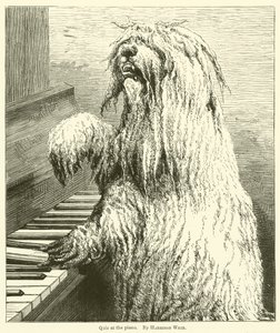 Quiz ved pianoet