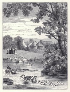 Andedammen (gravering) av Harrison William Weir
