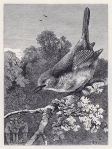 The Robin Watching the Boys with the Nest (gravering) av Harrison William Weir