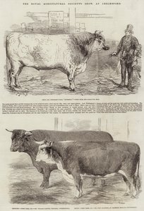 Royal Agricultural Society's Show, på Chelmsford av Harrison William Weir
