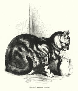 Tommys smarte triks (gravering) av Harrison William Weir