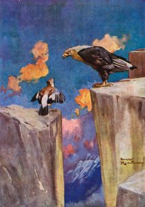 Jay and the Nightingale (farge litho)