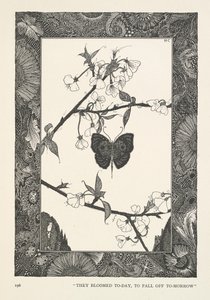 Sommerfuglen. De blomstret i dag, for å falle av i morgen. av Harry Clarke