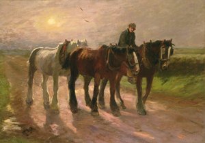Hjemover
