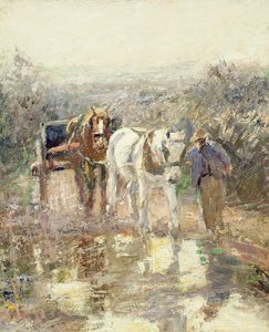 Hester og vogn