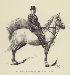 Mr William Stone, styreleder i Albany av Harry Furniss