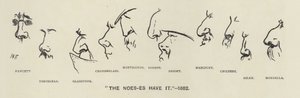 Noes-ene (dvs. politikernes neser) har det - 1883 (litho) av Harry Furniss