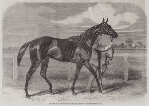 Ringer Ou, vinneren av St Leger av Harry Hall