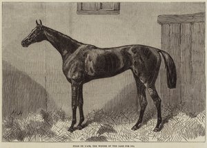 Fille de l
