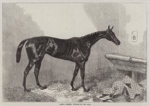 Dronning Bertha, vinner av Oaks