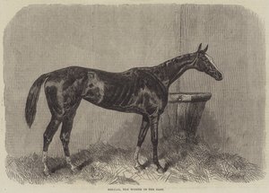 Regalia, vinneren av Oaks