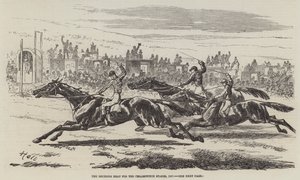 The Deciding Heat for Cesarewitch Stakes, 1857