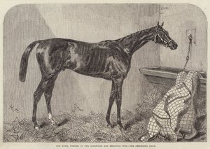 The Duke, vinner av Goodwood- og Brighton-cupene av Harry Hall