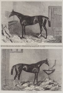 Vinnere av Derby og Oaks