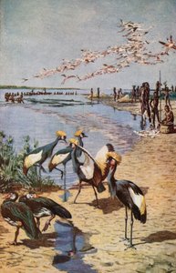The Northern Shores of Lake Chad, sett av Denham i 1822 av Harry Hamilton Johnston