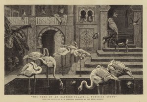 Kjæledyrene til et østlig palass, en tunisisk studie av Harry Hamilton Johnston