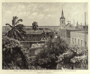 Utsikt over byen fra det britiske konsulatet, Mocambique av Harry Hamilton Johnston