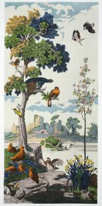Magnum Opus: Capercailzie, pub. 1933 av Harry Wearne