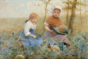 Samler gresskar,