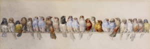 A Perch of Birds, ca. 1880 (akvarell og grafitt på papir)
