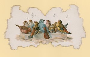 Fugler (farge litho) av Hector Giacomelli