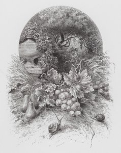 Insektet: snegler (gravering) av Hector Giacomelli