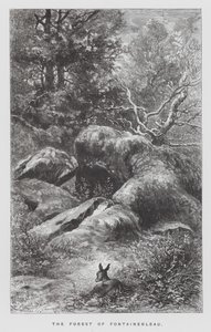 Insektet: Fontainebleau-skogen (gravering) av Hector Giacomelli