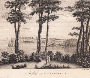 Utsikt fra Dysterbroch av Heinrich Grosch