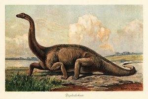 Utdødd Diplodocus longus på slettene.
