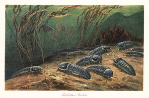 Utdødde trilobitter på havbunnen. av Heinrich Harder